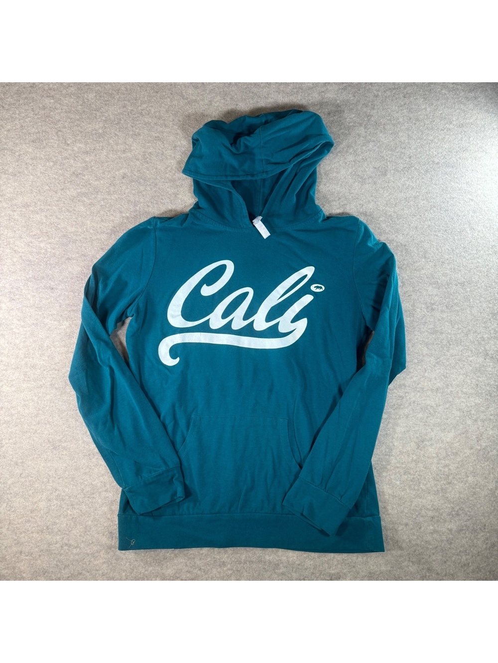 Wildfox Teal Cali Hoodie Sweatshirt